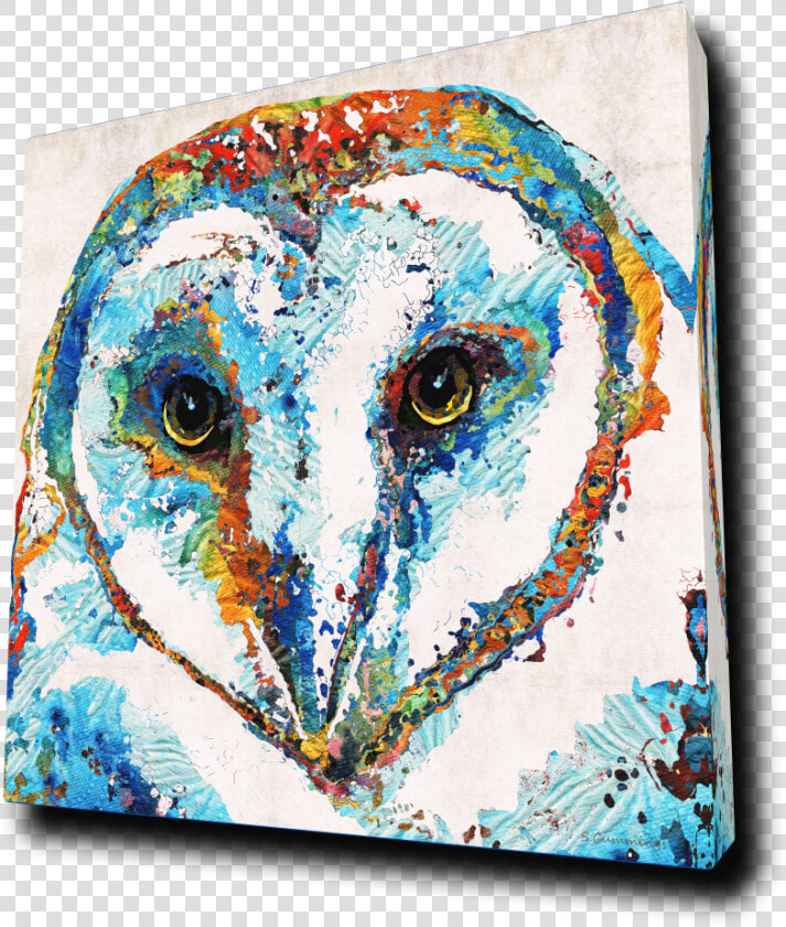 Colorful Barn Owl Art   Sharon Cummings  HD Png DownloadTransparent PNG