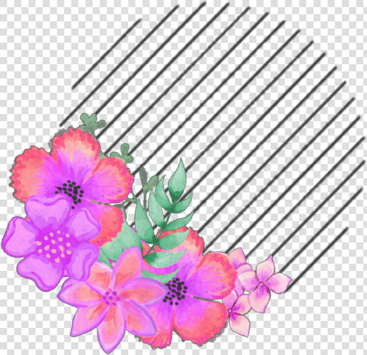  icon  aesthetic  overlay  coolsticker  kpop   Dianthus  HD Png DownloadTransparent PNG