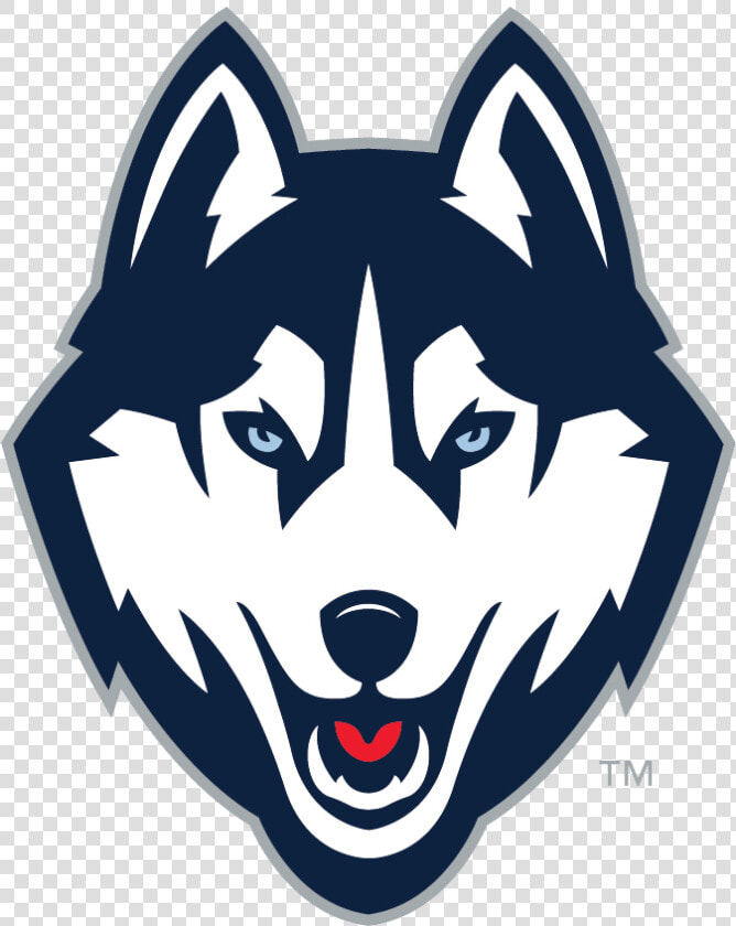 Charlotte Bobcats Logo Lineart   Uconn Logo  HD Png DownloadTransparent PNG