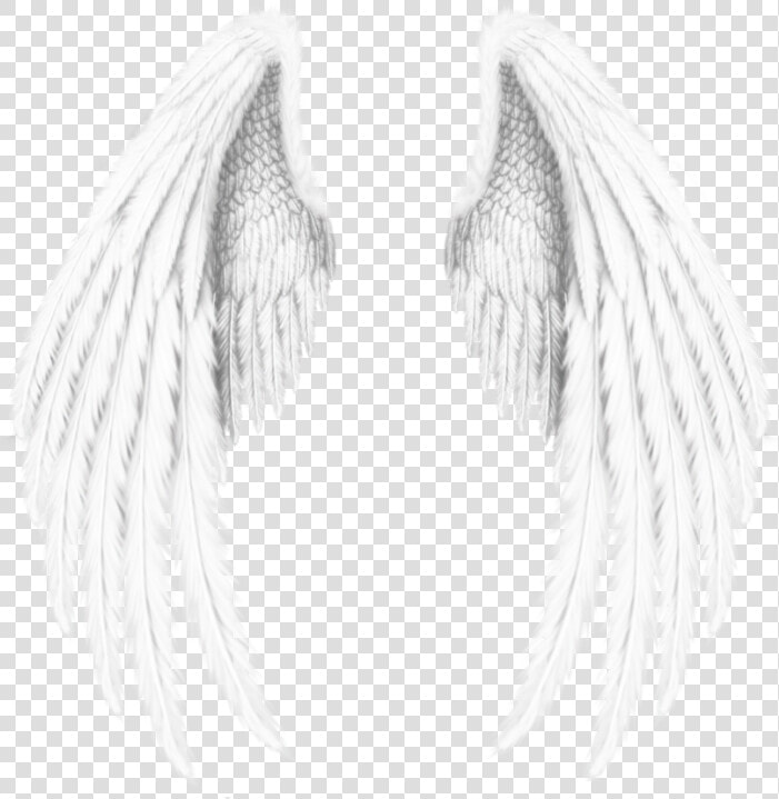  wings  angel  angels  angelwings  feathers  freetoedit   Wings Angel  HD Png DownloadTransparent PNG