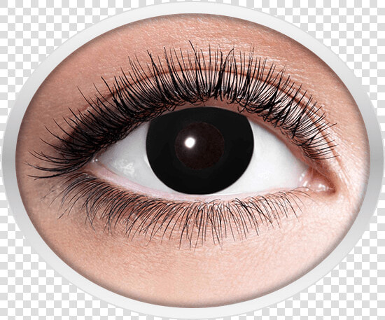 Black Contact Lenses   Eyes Lens Golden Png  Transparent PngTransparent PNG