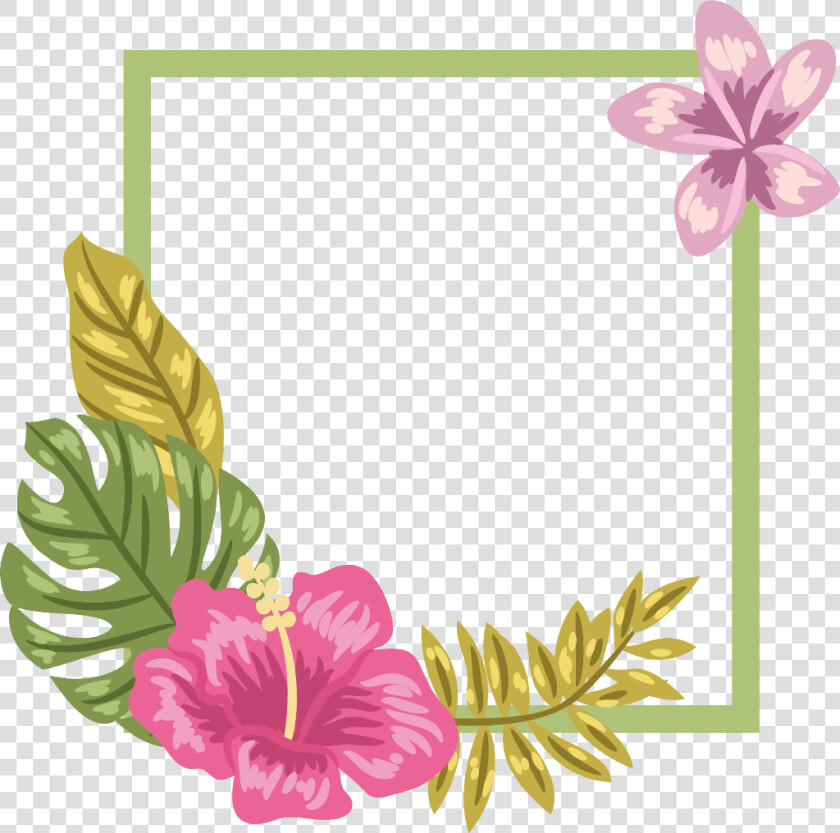  ftestickers  flowers  tropical  frame  borders  colorful   Transparent Hibiscus Background Png  Png DownloadTransparent PNG