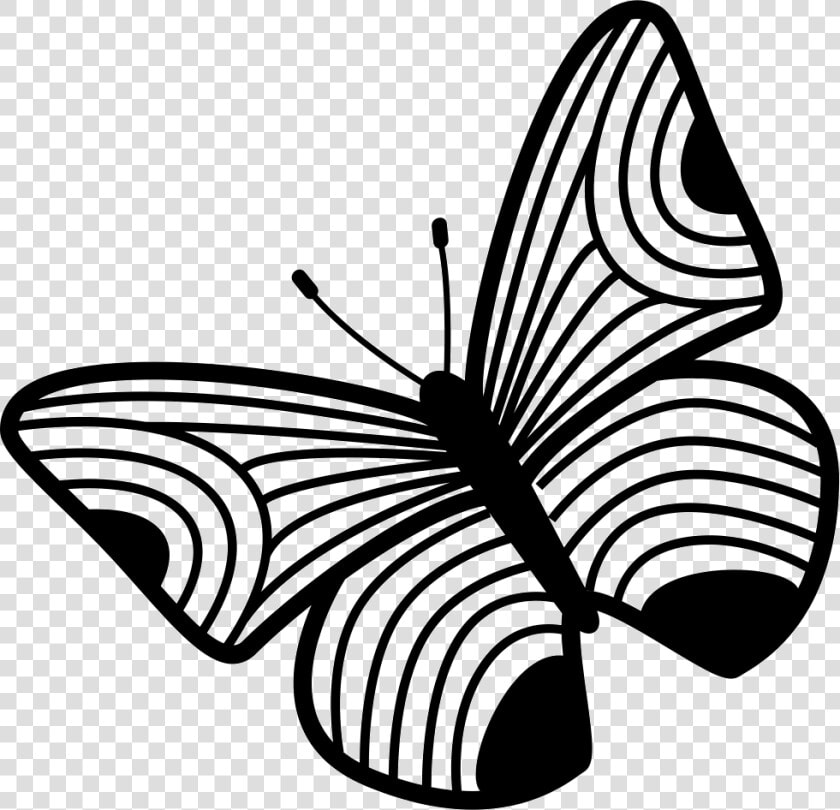 Butterfly Design Of Thin Stripes Wings   Portable Network Graphics  HD Png DownloadTransparent PNG