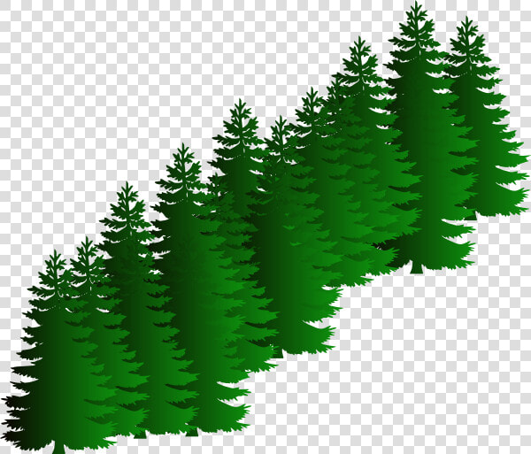 Evergreen Cluster Clip Art   Vector Pine Tree Png  Transparent PngTransparent PNG