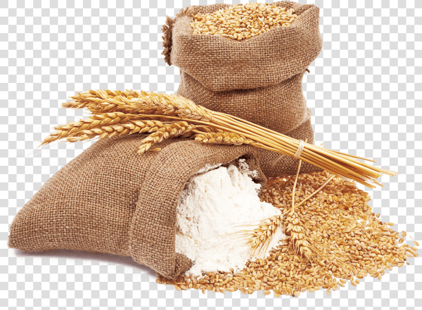 Wheat And Wheat Flour   Wheat Flour Png  Transparent PngTransparent PNG