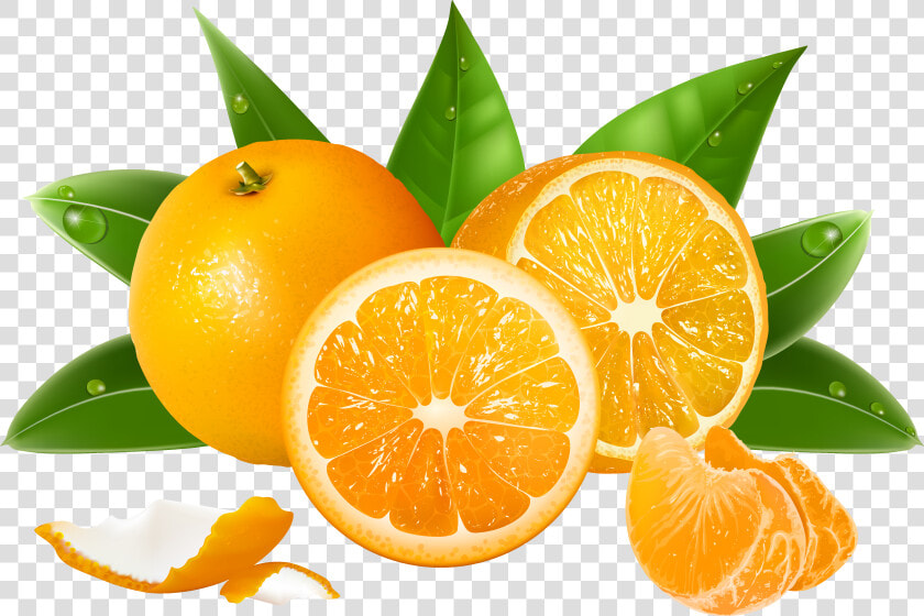 Orange S Png   Transparent Background Oranges Clipart  Png DownloadTransparent PNG