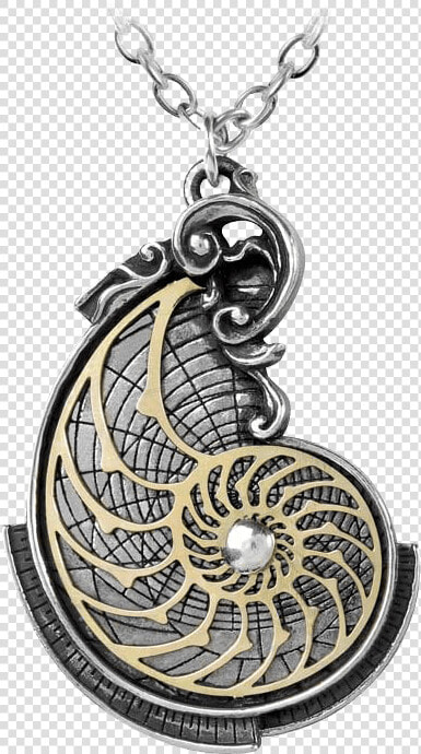 Fibonacci Golden Spiral Necklace   Steampunk Jewellery  HD Png DownloadTransparent PNG