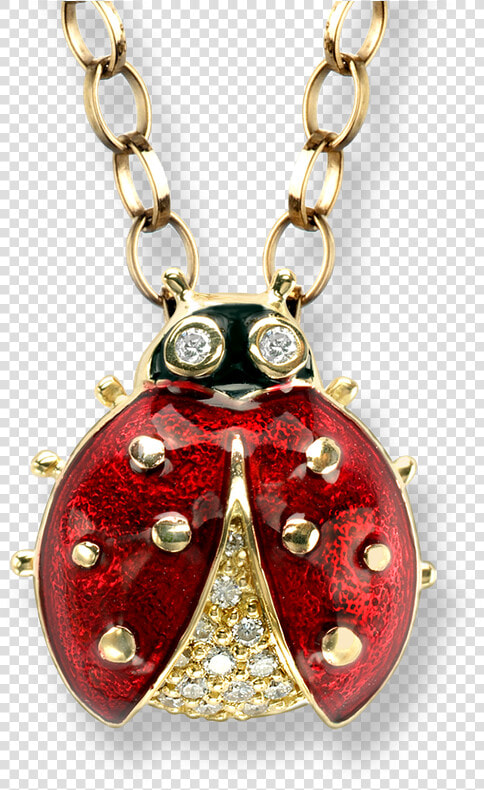 Ladybird Jewellery  HD Png DownloadTransparent PNG