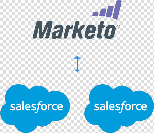 Marketo  HD Png DownloadTransparent PNG