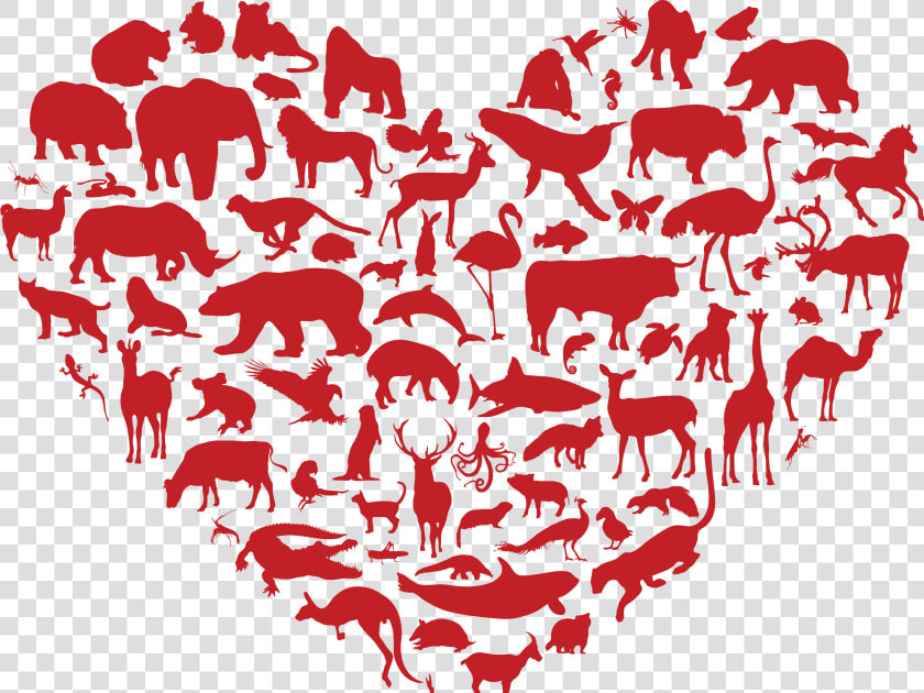 Animals Love   Animals In A Heart Shape  HD Png DownloadTransparent PNG