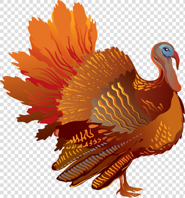 Turkey Meat Thanksgiving Clip Art   Transparent Background Turkey Clipart  HD Png DownloadTransparent PNG