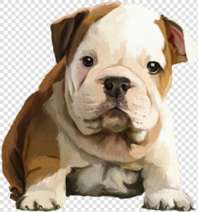 Valley Bulldog Old English Bulldog Toy Bulldog Olde   Bulldog  HD Png DownloadTransparent PNG