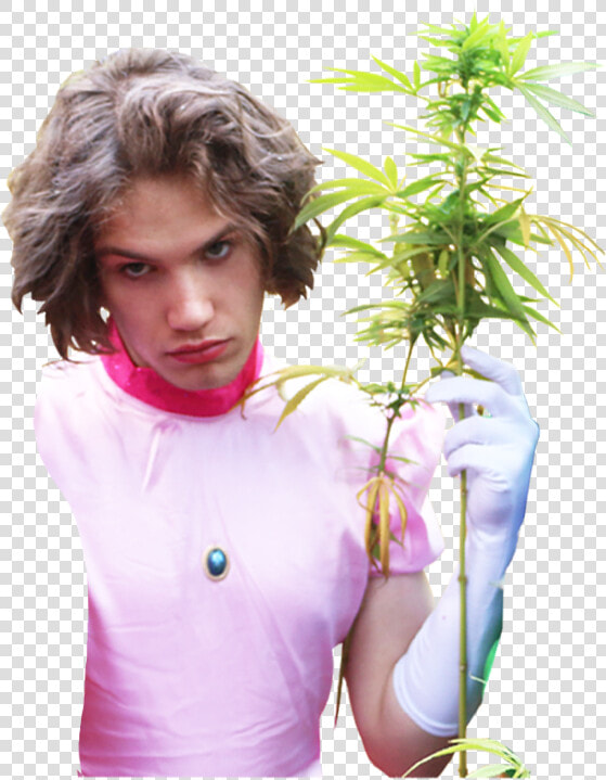 Maxmoefoe Png  Transparent PngTransparent PNG