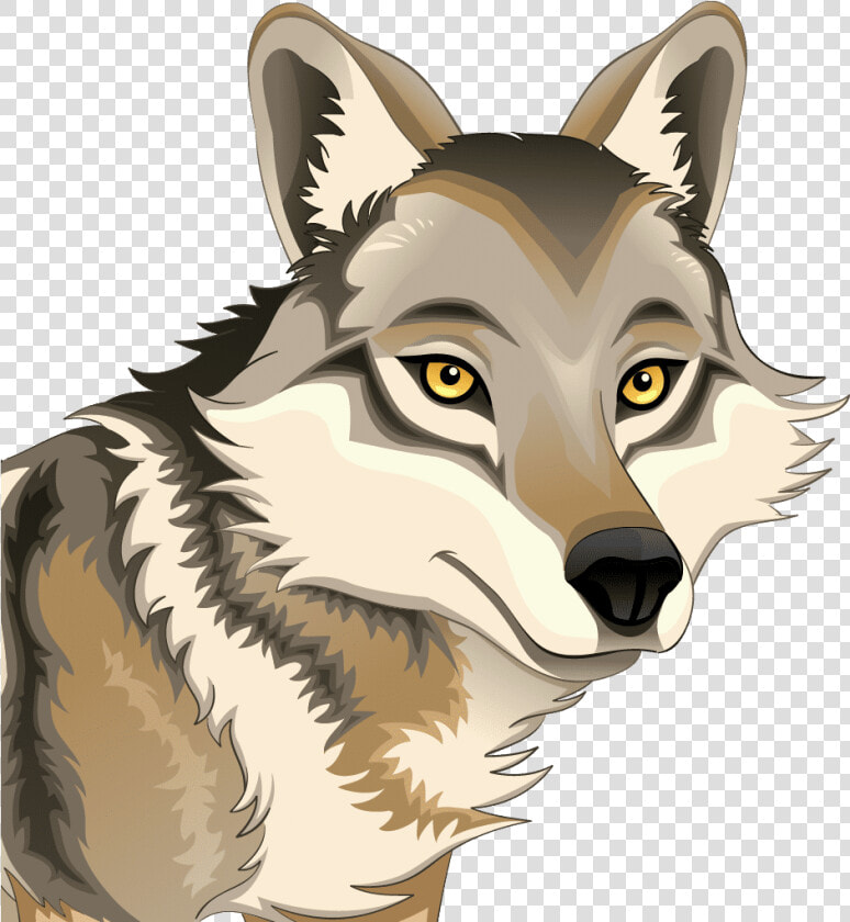 Imagem De Lobo Desenho  HD Png DownloadTransparent PNG