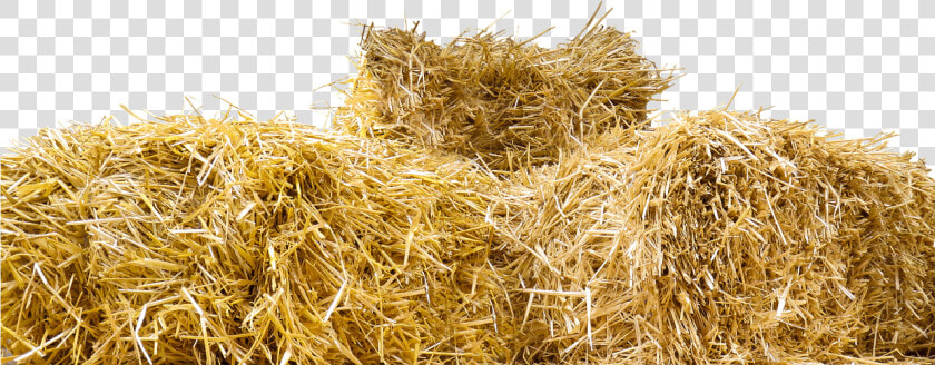 Top Of Straw Bales   Straw Bale Png  Transparent PngTransparent PNG