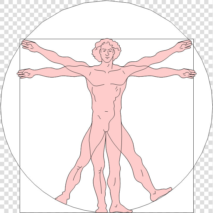 Renaissance Art Leonardo Da Vinci Vitruvian  HD Png DownloadTransparent PNG