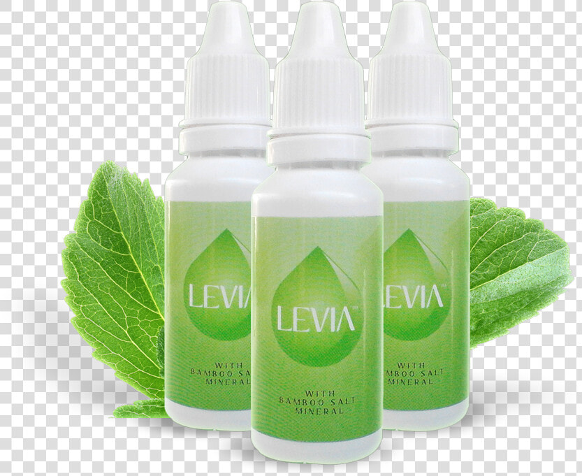 Stevia Png  Transparent PngTransparent PNG