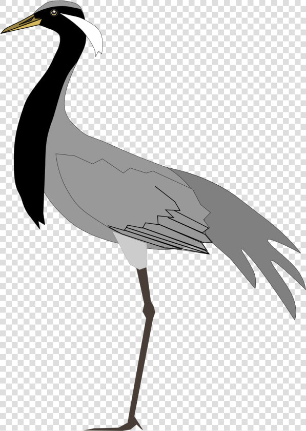 Black Necked Crane Vector  HD Png DownloadTransparent PNG