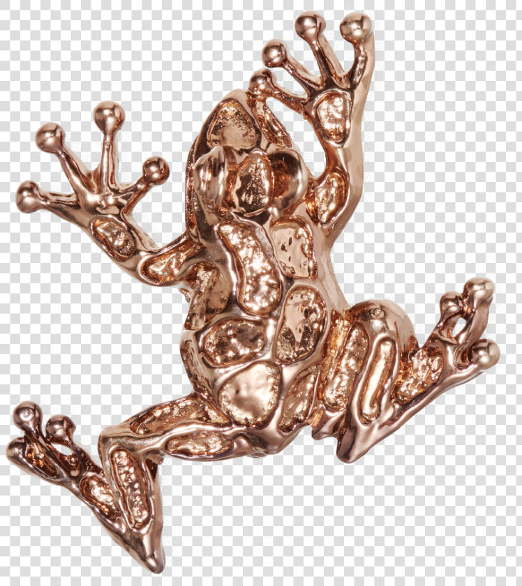 Frog Bronze plated Brooch Fw19 Collection  Pal Zileri  HD Png DownloadTransparent PNG