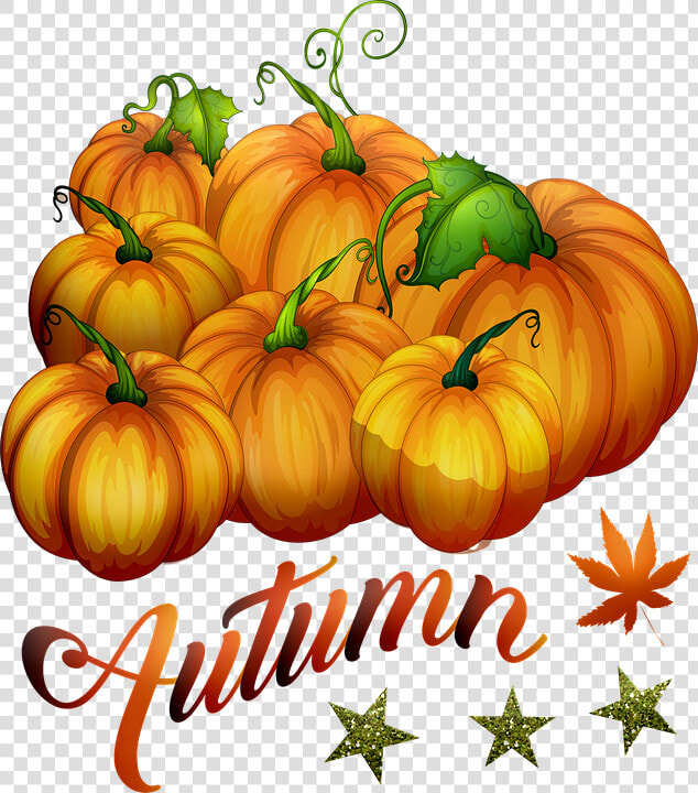 Autumn Pumpkins  Pumpkin  Halloween  Vegetables   Pumpkin  HD Png DownloadTransparent PNG