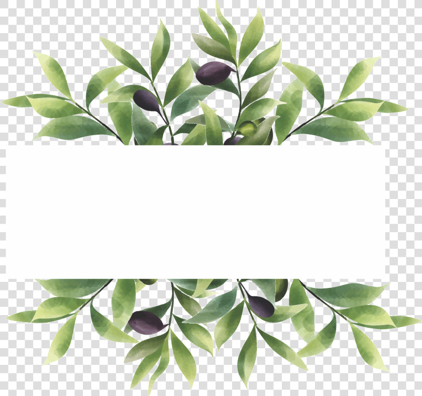 Houseplant  HD Png DownloadTransparent PNG