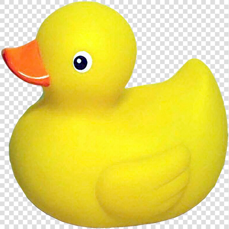 Yellow Rubbe Duck Transparent   Rubber Duck Icon Slack  HD Png DownloadTransparent PNG