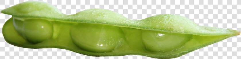 Fresh Soybean Png Image   Soy Bean Green Png  Transparent PngTransparent PNG