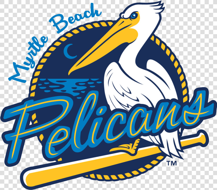 Myrtle Beach Pelicans Logo Png  Transparent PngTransparent PNG