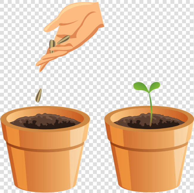 Soil Budding Grass Flower Pot Image And For Transparent   Pot With Soil Png  Png DownloadTransparent PNG