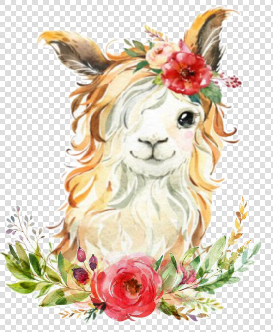  watercolor  handpainted  octopusartis  llama  littlellama   Watercolor Llama  HD Png DownloadTransparent PNG