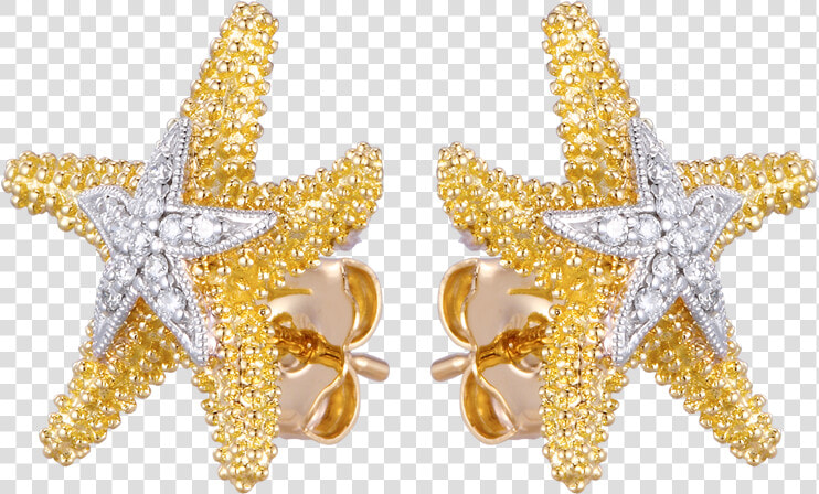 Brand Name Designer Jewelry In St   Earrings  HD Png DownloadTransparent PNG