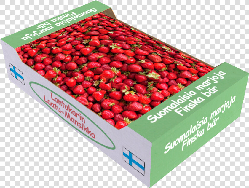 Cranberry   Png Download   Macaron Box My Summer Car  Transparent PngTransparent PNG