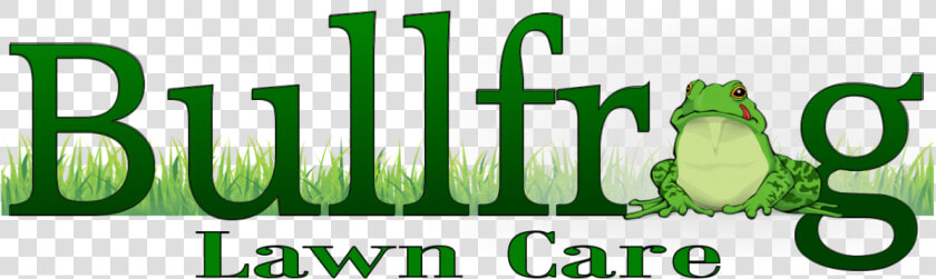 Bullfrog Lawn Care Clipart   Png Download   Bullfrog  Transparent PngTransparent PNG