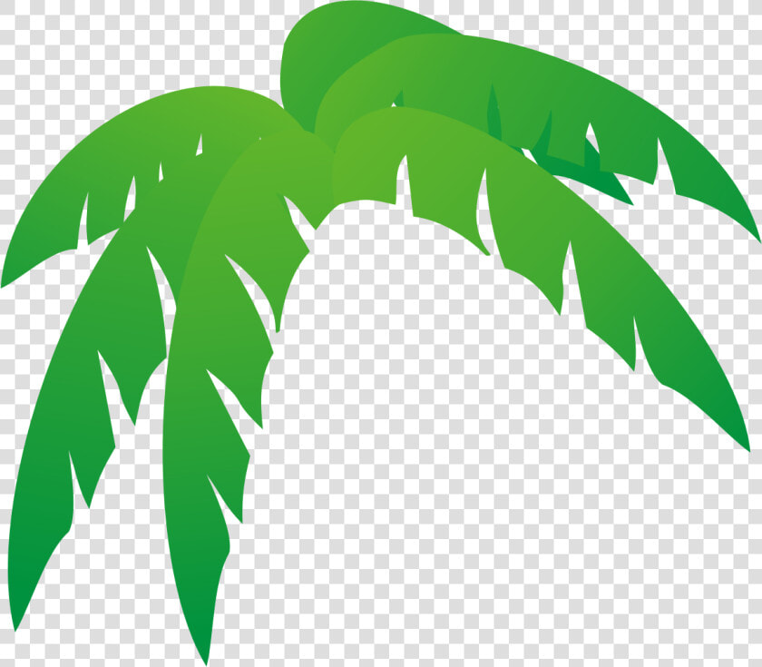 Top 82 Palm Tree Clip Art   Palm Tree Leaves Cartoon  HD Png DownloadTransparent PNG