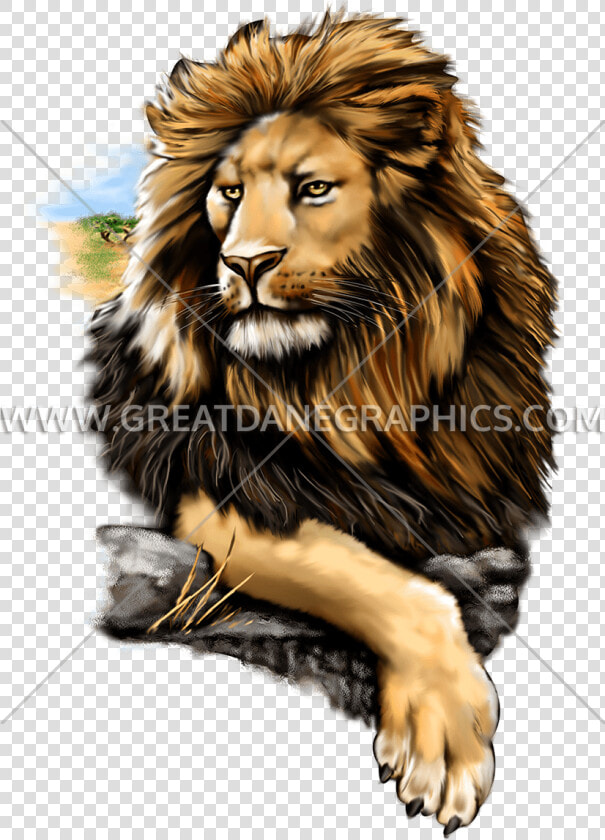 Proud Lion   T shirt  HD Png DownloadTransparent PNG