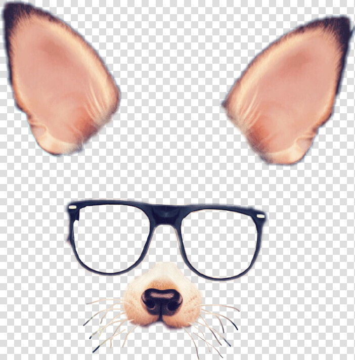 Spectacles Snapchat Filter Chat Snap Photographic Clipart   Filtros De Snapchat Png  Transparent PngTransparent PNG