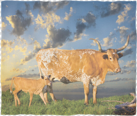 Texas Longhorn Fleece Blanket   Calf  HD Png DownloadTransparent PNG