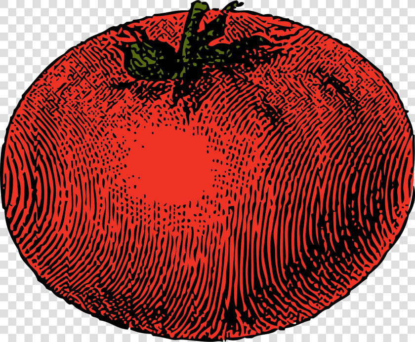 Tomato Clip Arts   Vintage Tomato Clip Art  HD Png DownloadTransparent PNG