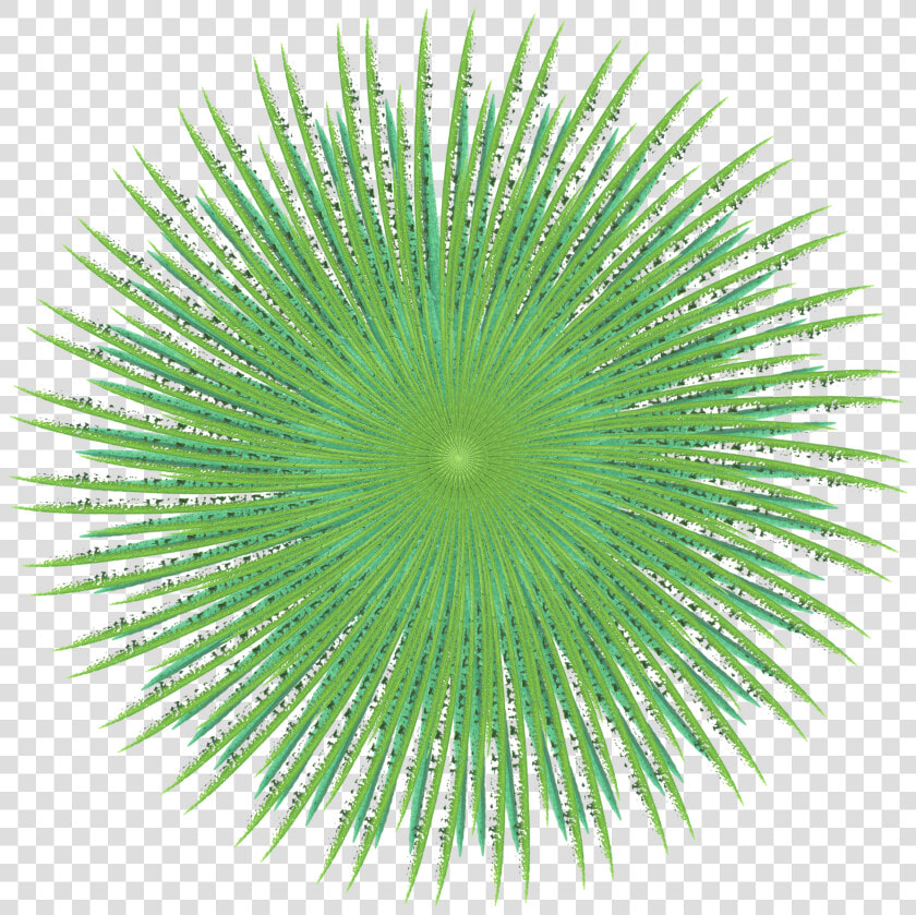 Transparent Sea Urchin Clipart   Artificial Turf  HD Png DownloadTransparent PNG