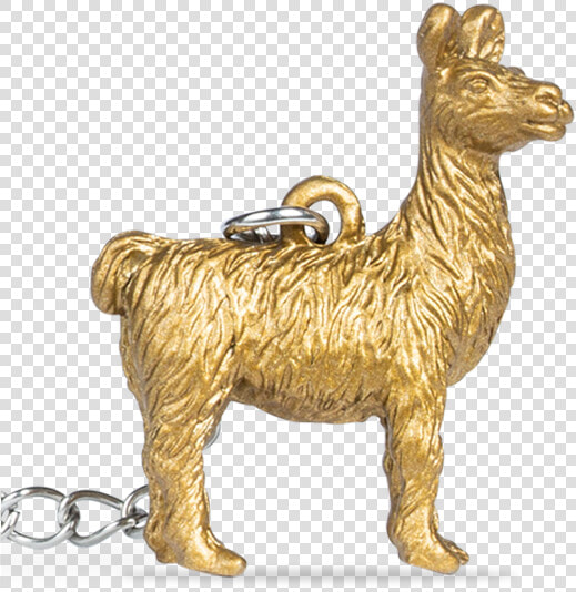 Fun Infuser Zoo Brew Llama   Llama  HD Png DownloadTransparent PNG