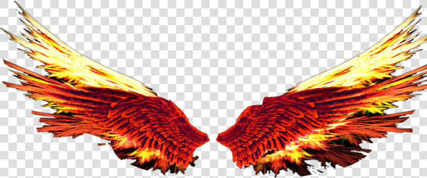  fireball  redorange  firewings  fire   Illustration  HD Png DownloadTransparent PNG