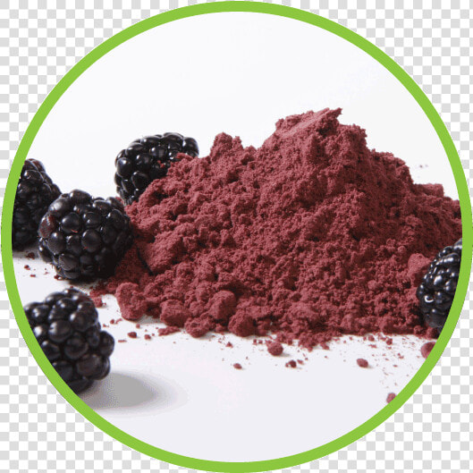 Blackberry Powder Circle   Powder Fruits  HD Png DownloadTransparent PNG