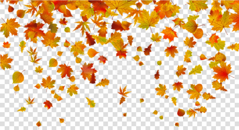 Fall Leaf Clipart Transparent Background   Fall Leaves Png Transparent  Png DownloadTransparent PNG