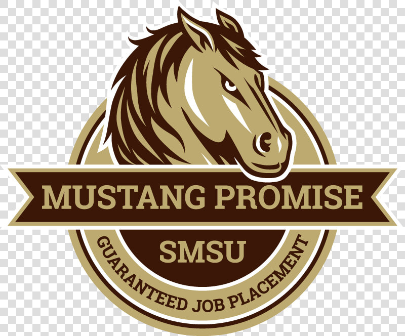 Smsu Mustang Promise   Southwest Minnesota State University  HD Png DownloadTransparent PNG