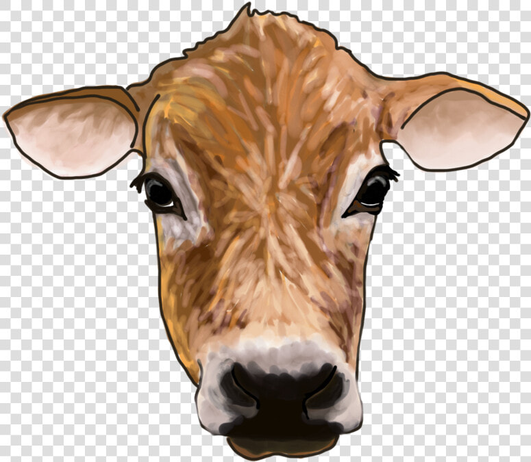 Cow   Dairy Cow  HD Png DownloadTransparent PNG