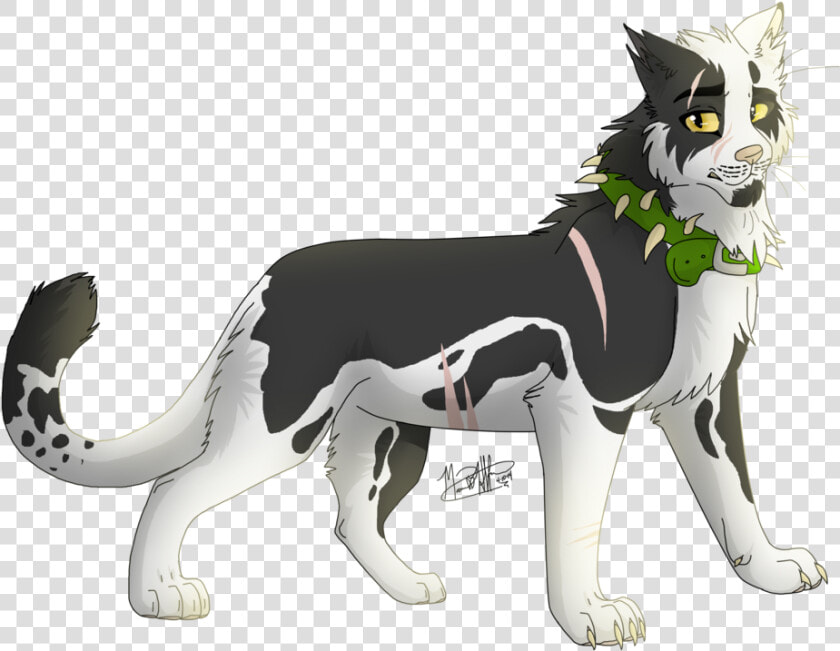 Cat Warriors Into The Wild Bone Image   Bone From Warrior Cats  HD Png DownloadTransparent PNG