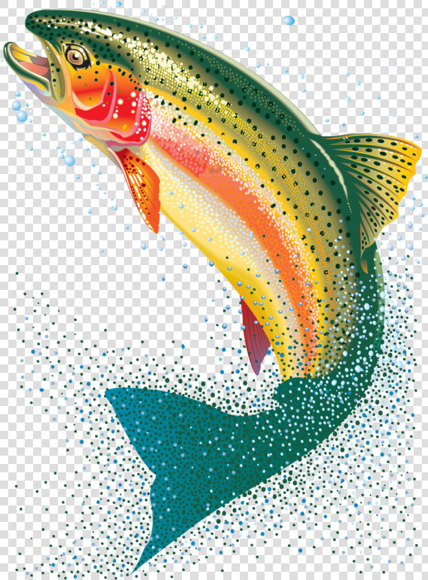 Transparent Background Trout Clipart Png   Png Download   Transparent Background Trout Fish Png  Png DownloadTransparent PNG