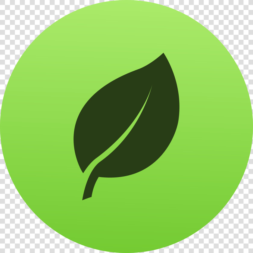 Svg Mongodb Logo Png  Transparent PngTransparent PNG