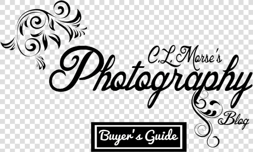 Morse S Photography Buyer S Guide   Floral Design  HD Png DownloadTransparent PNG