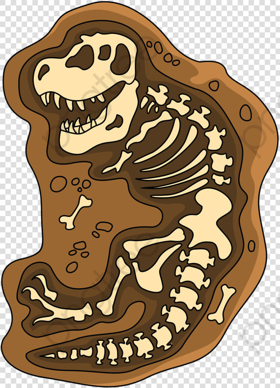 Transparent Skeleton   Dinosaur Fossils Clipart Png  Png DownloadTransparent PNG